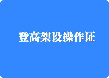 操B毛XX网站登高架设操作证